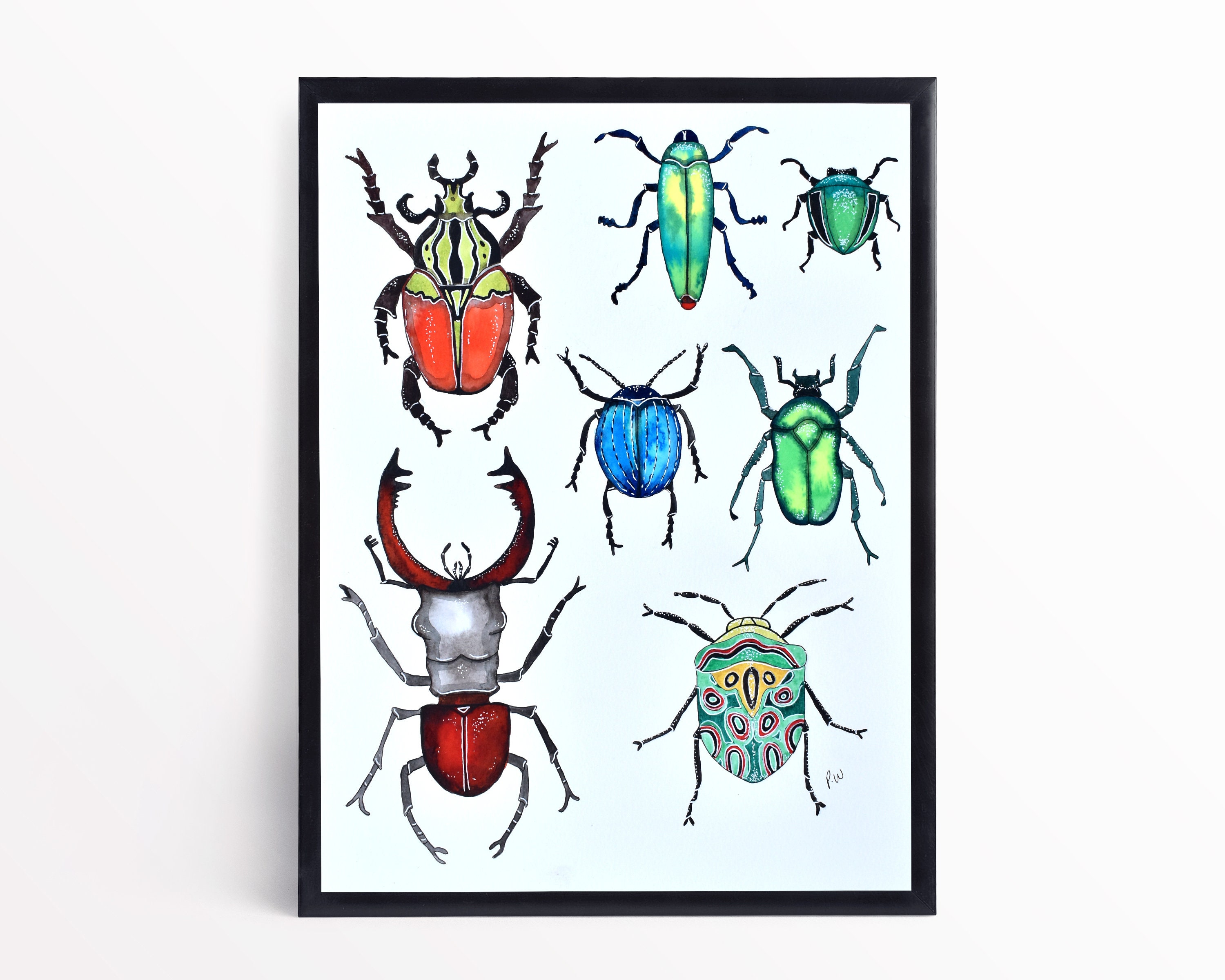 Beetles insects art print bugs wall art abstract art Etsy