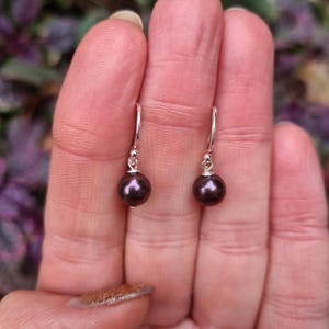 Peacock Freshwater pearl earrings Sterling Silver / 14K Gold Fill 7mm purple black pearl drop earrings real pearl jewellery gift mum her him