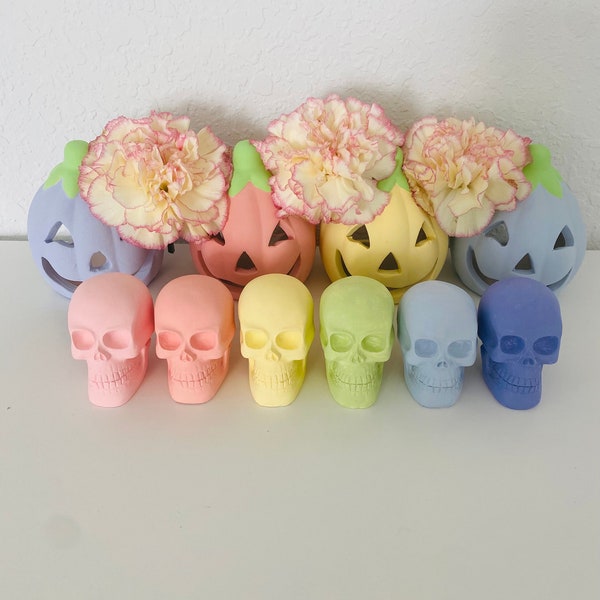 Pastel color skulls. Cute halloween decor