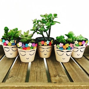 May include: Five small terracotta pots with painted faces and colorful flower accents, each holding a different succulent plant.