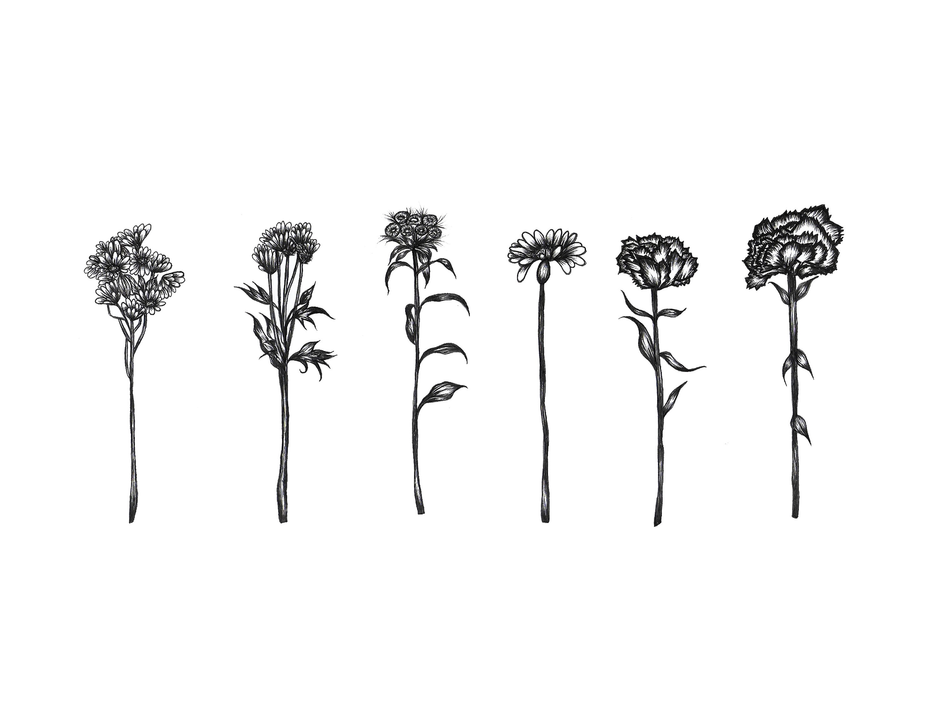 Minimal Wildflowers Illustration Art Print. Botanical - Etsy Ireland