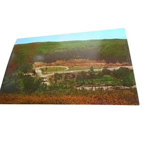May include: An aerial view of a scenic landscape with a winding road leading to a clearing in the forest. The road is surrounded by lush green trees and a small pond. The sky is a bright blue with white clouds.