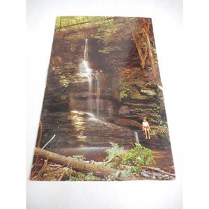 Cartão postal vintage não postado Bushkill Falls, PA Bridal Veil Falls 1960s