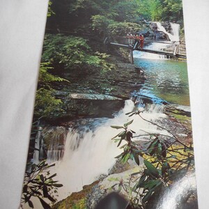 Carte postale vintage Winona Five Falls Bushkill, PA des années 1960 Poconos