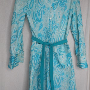 Vintage Belted Paisley Dress 1960s 1970s button front Mod Hippie Boho