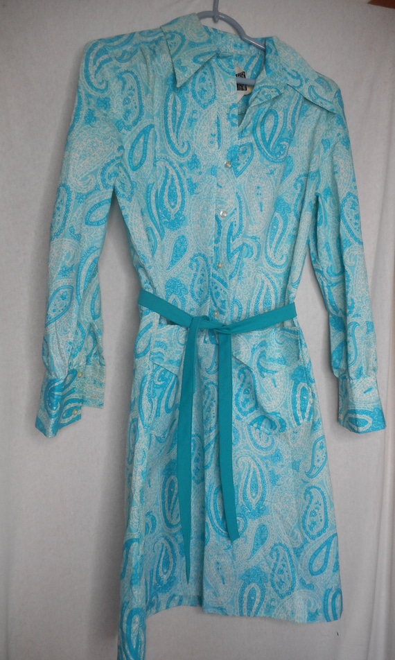 Vintage Belted Paisley Dress 1960s 1970s button fr