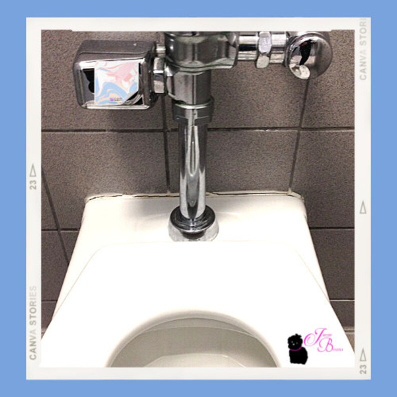 Prevent the Automatic Toilet From Flushing Etsy
