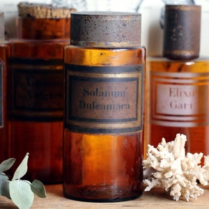 Antique French Apothecary Jar Amber Glass Medicine Storage Canister Pharmacy Bottle Arundo Donax