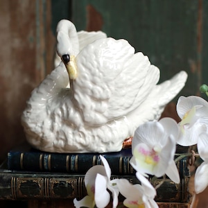 May include: A white ceramic swan figurine atop a stack of antique books. The swan has a detailed feather design and a curved neck. White orchid flowers with yellow and pink accents are placed near the books. The books have aged, textured covers.