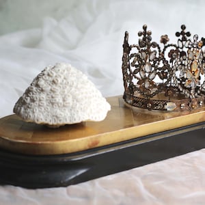Könnte beinhalten: Eine metallene Krone mit filigranen Mustern und eingelassenen klaren Kristallen, platziert neben einem weißen, texturierten Korallenexemplar auf einem glatten, ovalen Holzsockel mit einer schwarzen unteren und einer hellbraunen oberen Ebene.
