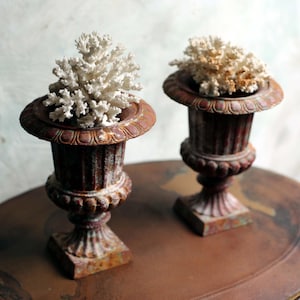 Pair of Medici Urns Rusty Cast Iron Rococo Style Vases Jardinieres Garden Planters