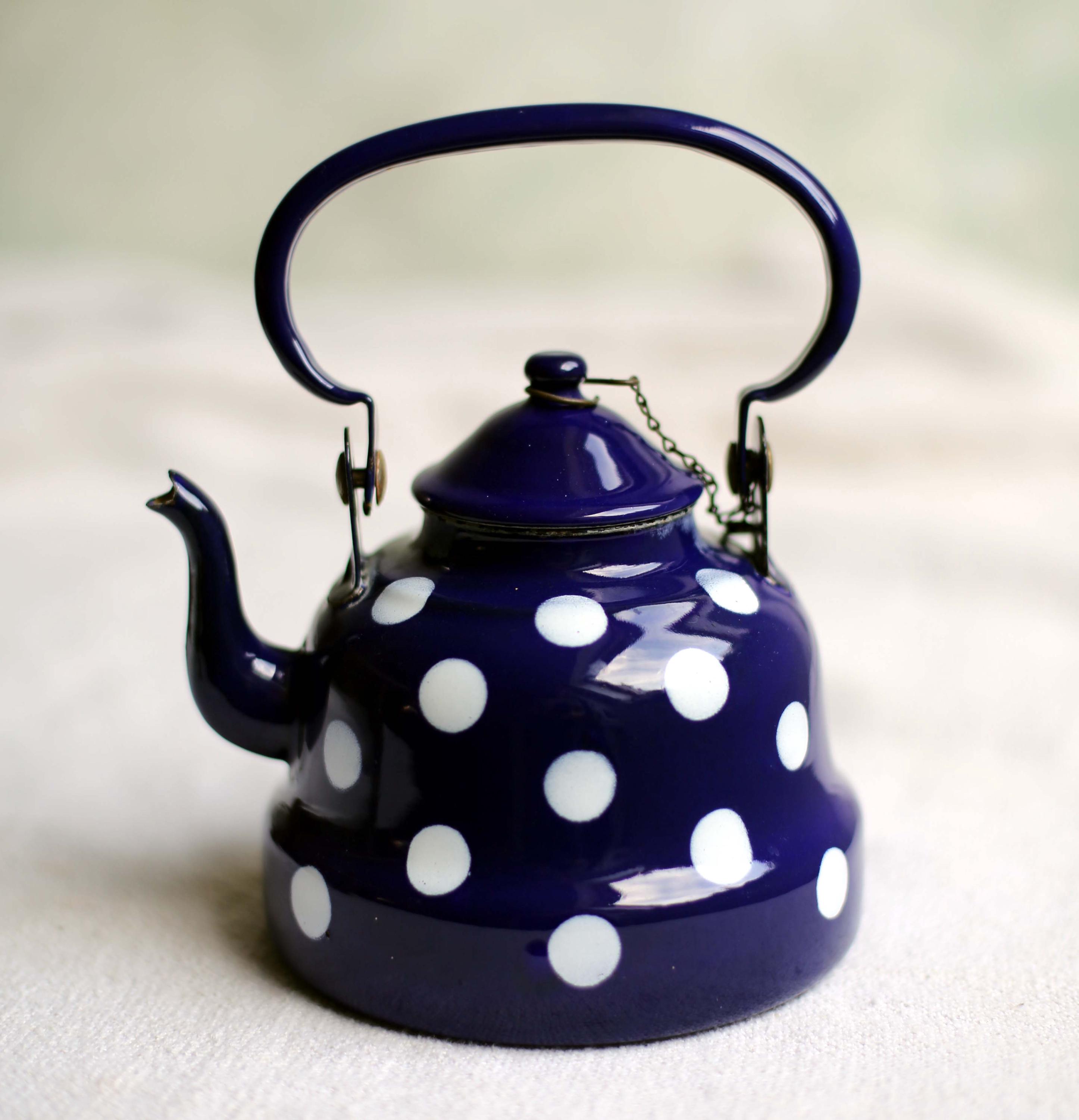 Vintage French Polka Dot Enamel Tea Kettle Blue & White Enamelware