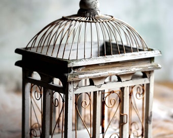 Antique Wire Bird Cage French Chippy White Wooden Dome Birdcage