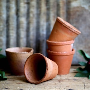 May include: A collection of small, terracotta-colored flower pots. One pot is lying on its side, while others are stacked. The pots are set on a wooden surface with a blurred background. Green leaves and a dark purple flower are visible.