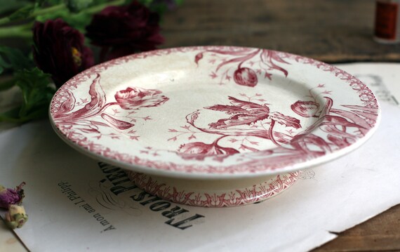 datant Paragon Bone China