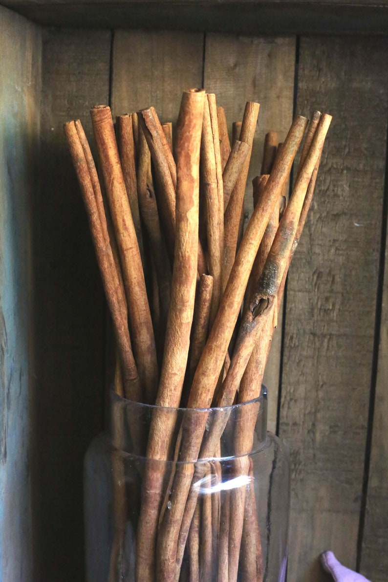 Bundle Of 10 Long Cinnamon Sticks Vintage Spices Cinnamon Wood Etsy