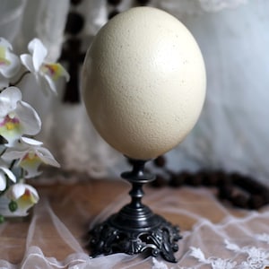 May include: A large, off-white ostrich egg displayed on a decorative black metal stand. The egg has a textured surface and is the focal point. The stand features an ornate, detailed base. The background includes white lace and flowers.