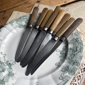 Set of 10 French Art Deco Resin Handle Knives: Koutex Thiers Steel