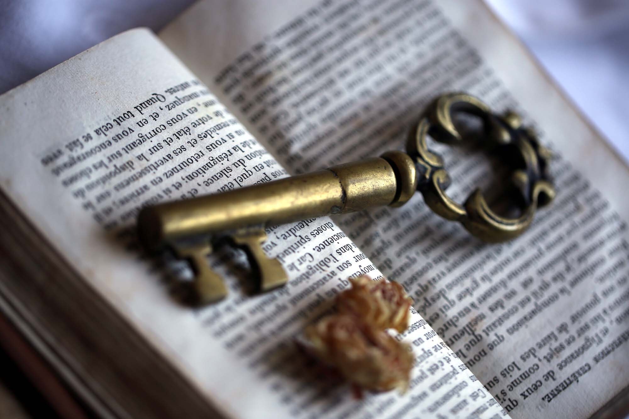Français Key Corkscrew Brass Skeleton Wine Bottle Opener Vintage Barware
