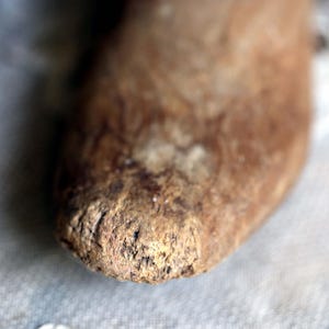 May include: Close-up of a brown, textured object with a rough, cracked surface. The object appears to be organic, possibly a piece of wood or a similar natural material. The focus is on the end of the object, highlighting its detailed texture.