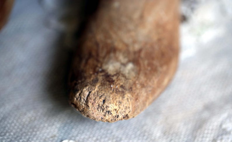 May include: Close-up of a brown, textured object with a rough, cracked surface. The object appears to be organic, possibly a piece of wood or a similar natural material. The focus is on the end of the object, highlighting its detailed texture.