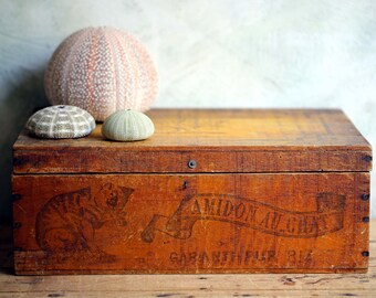 Boîte en bois antique, France avec chats, chat au amidon, caisse de rangement publicitaire