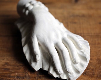 Lady's Hand Antique French Plaster Cast Cabinet of Curiosity