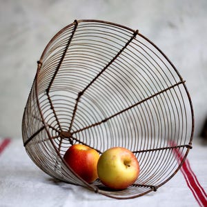 Op de afbeelding: Een roestige draadmand met twee rode en gele appels erin. De mand is gemaakt van dun draad en heeft een conische vorm.