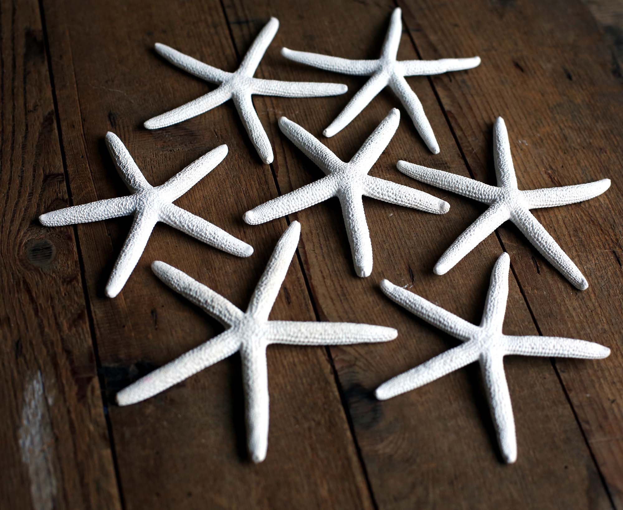 7 Articles Vintage Starfish Pour Cabinet de Curiosités White Finger Photography Props