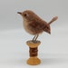 see more listings in the Birds section