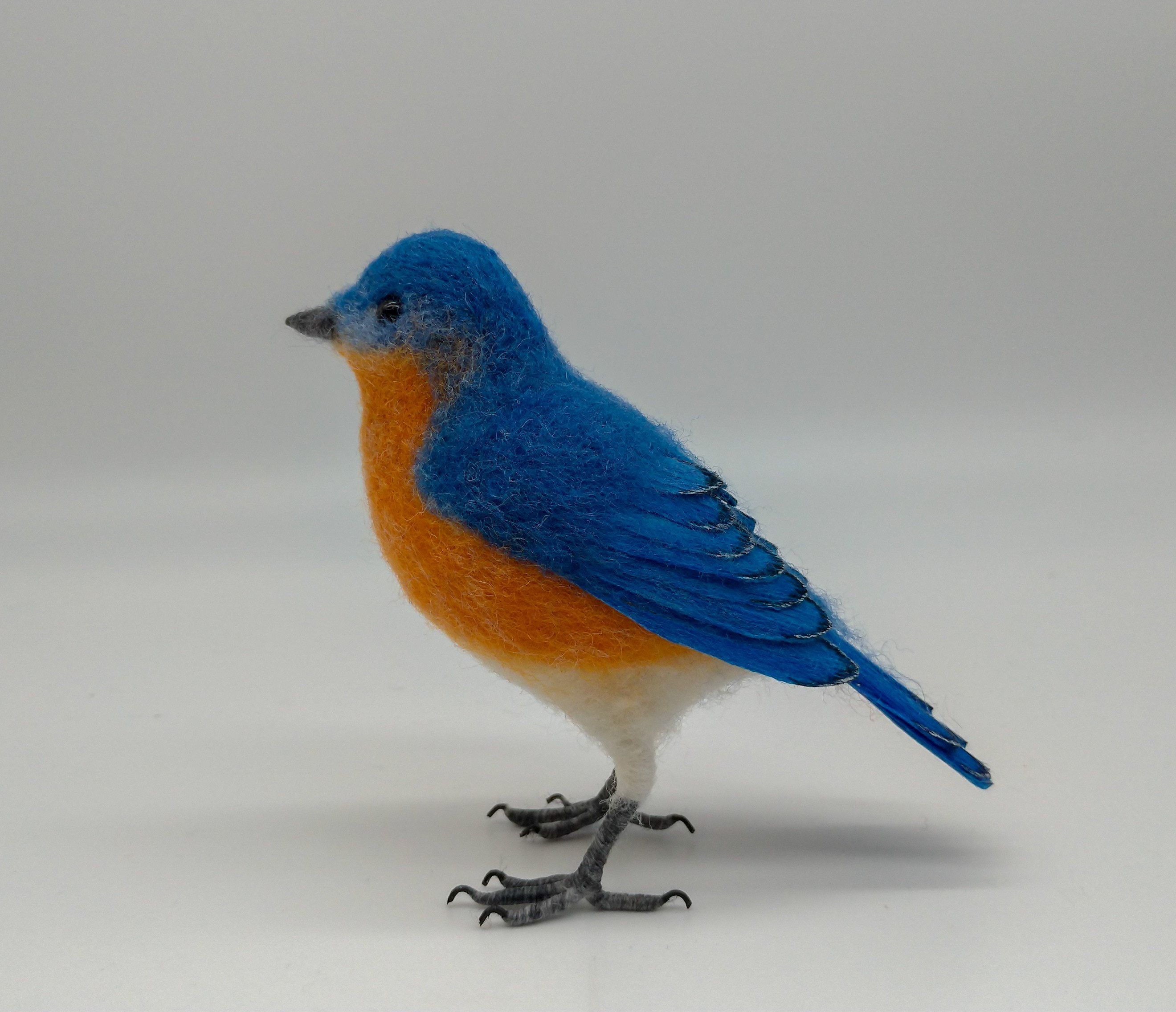 Js wings cheap 3.0 dames bluebird
