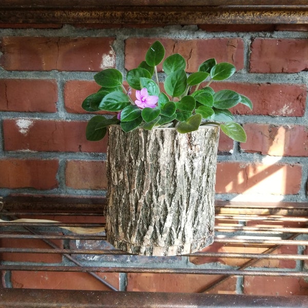 Log vase plant holder | Water resistant or natural hollowed tree indoor wood pot | Rustic unique gift for him or her | Utensil storage