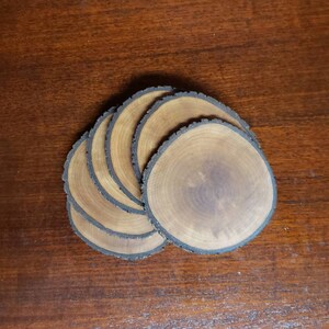 Log Slices Coaster set | finished Wood round Trivet drink holder | Rustic engraved Wooden coasters | unique custom wedding favor gift image 3