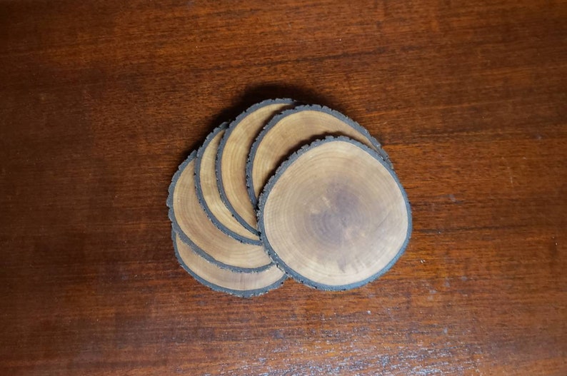 Log Slices Coaster set | finished Wood round Trivet drink holder | Rustic engraved Wooden coasters | unique custom wedding favor gift image 3
