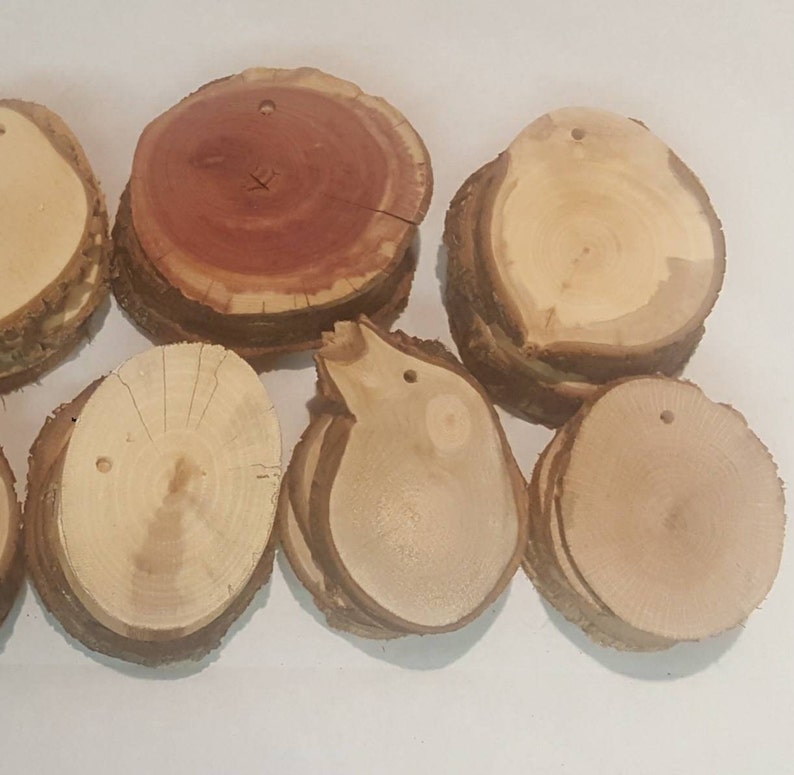 25 XL log slice wood cookies 34 rustic wedding party Etsy