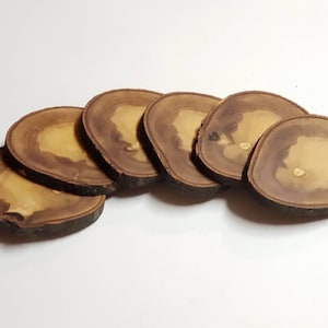 May include: Six brown wooden coasters with a natural wood grain pattern. The coasters are round and have a slightly irregular shape.