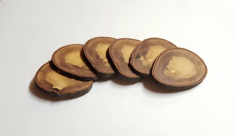 May include: Six brown wooden coasters with a natural wood grain pattern. The coasters are round and have a slightly irregular shape.