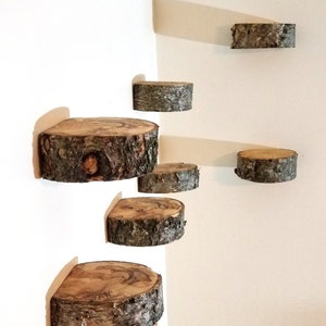 May include: Six wooden shelves made from tree slices are mounted on a white wall. The shelves are different sizes and are arranged in a staggered pattern.