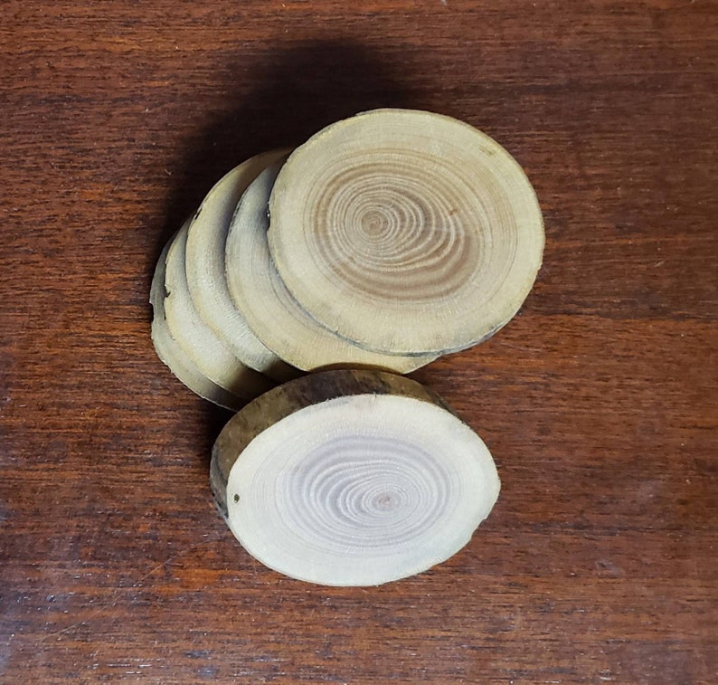 May include: A stack of six round wooden slices, each with a different diameter, showing the natural grain of the wood. The slices are arranged in a pile, with the largest slice on the bottom and the smallest slice on top.