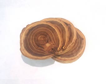 Log Coasters set of 4 | Wood Trivet Drink mat | Custom Rustic wooden engraved gift | personalized Wood Tree Slices table centerpiece decor