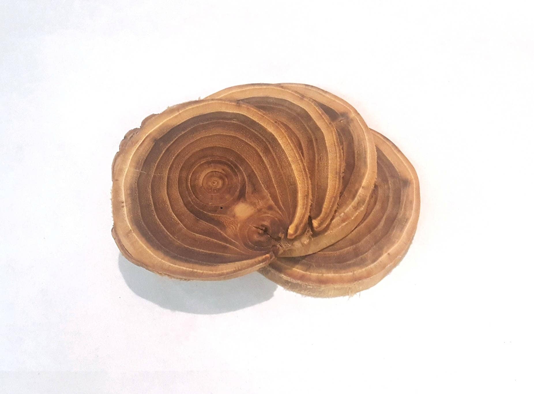 Sottobicchieri in legno per piatti caldi, 4 sottobicchieri in legno + 1
