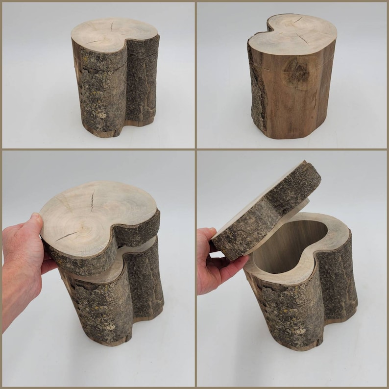 Hollow Log Box or Vase Rustic Desktop Storage Money Hideaway | Etsy