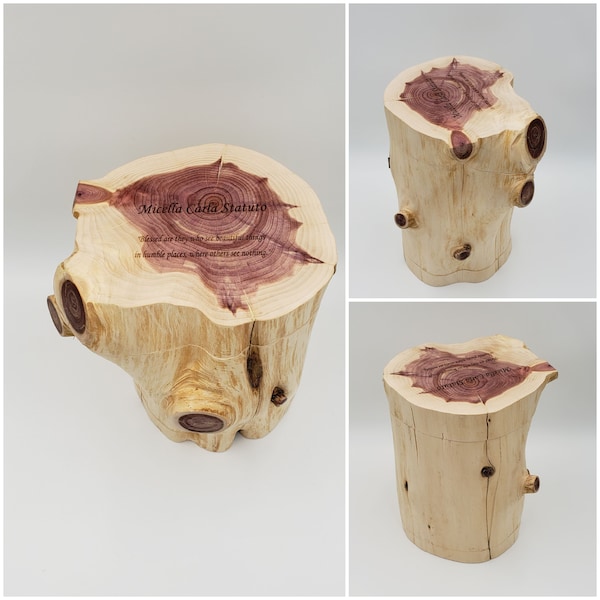 Log urn | custom keepsake box | unique live edge hollowed tree personalized engraved gift | rustic storage hideaway | heart ornament