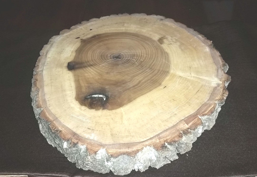 Rustic Log Slice Finished Log Slice 10-12