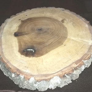 Finished Log slice 10-12&quot; round | Rustic table centerpiece base | Sanded & sealed Tree Slices | Wooden Cake Stand | DIY Wood Serving tray