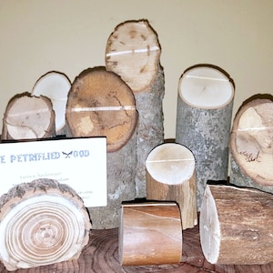 May include: A collection of wooden log slices and cylinders, some with a natural bark finish, used as card holders. The card holders are arranged on a wooden surface. A business card for "The Petrified Wood" is visible in the image.