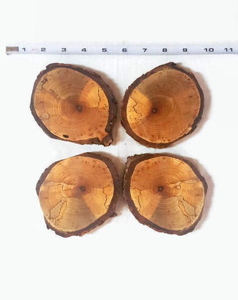 Set Di 4 Sottobicchieri In Legno A Forma Di Albero Di Natale – Sottopentola Termici Per Piatti Caldi, Pentole E Tazze, Decorazioni Tavola Rustiche In Legno Massello