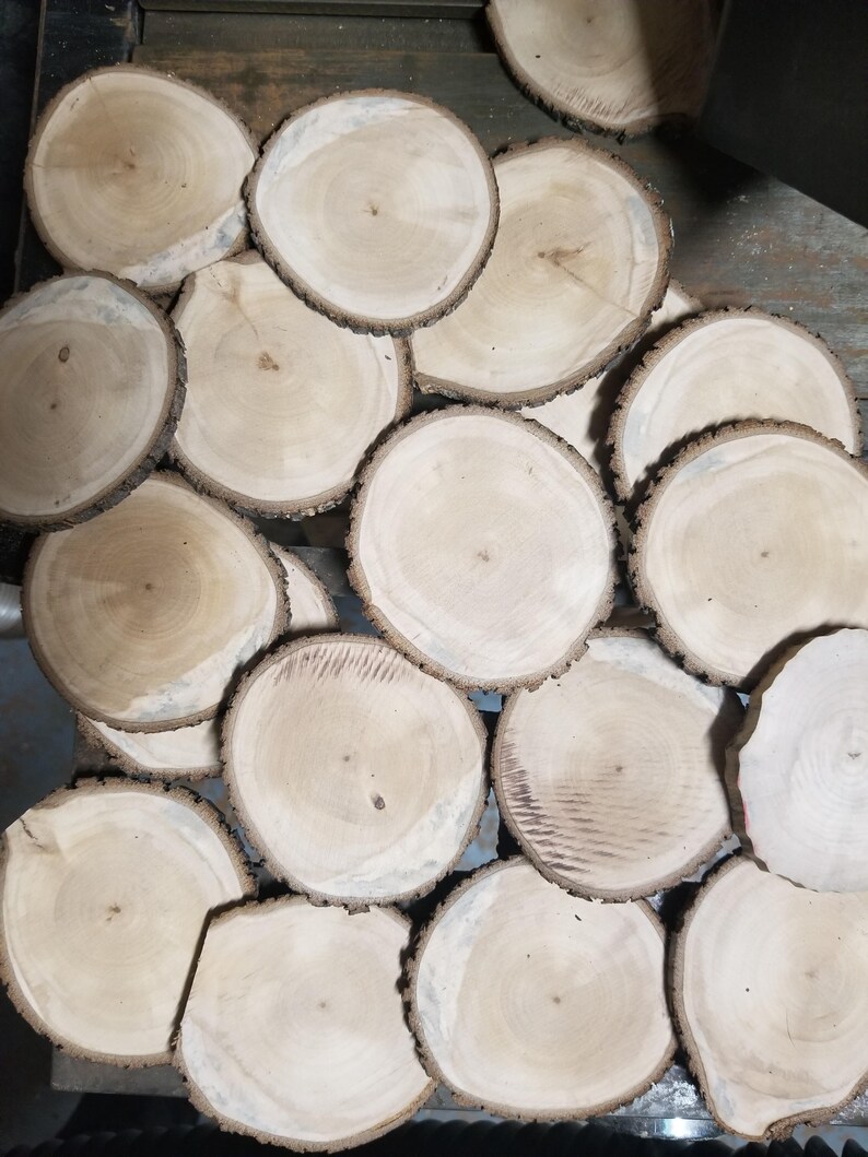 25 XL log slice wood cookies 34 rustic wedding party Etsy