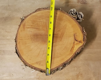 Log slice 9-10" diameter | Rough wood round thick | rustic wedding table centerpiece | wooden base cake stand | live edge | recycled trees