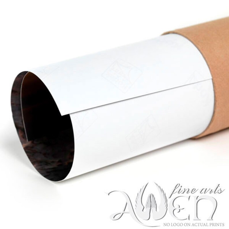 May include: A rolled-up white print, partially visible, inside a brown cardboard tube. The print is labeled with the text "ADEN fine arts" and "NO LOGO ON ACTUAL PRINTS". The print is likely a piece of art.
